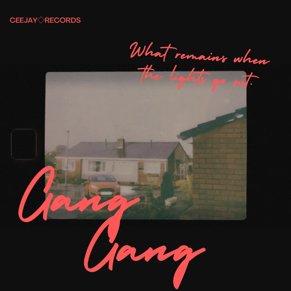 Gang